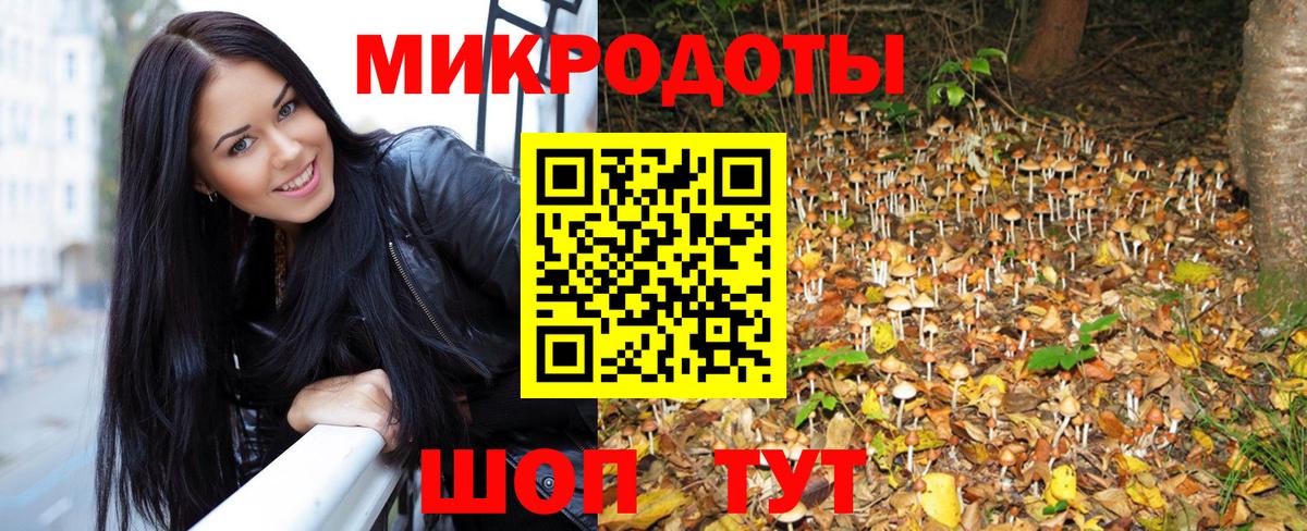Галлюциногенные грибы Psilocybe Людиново